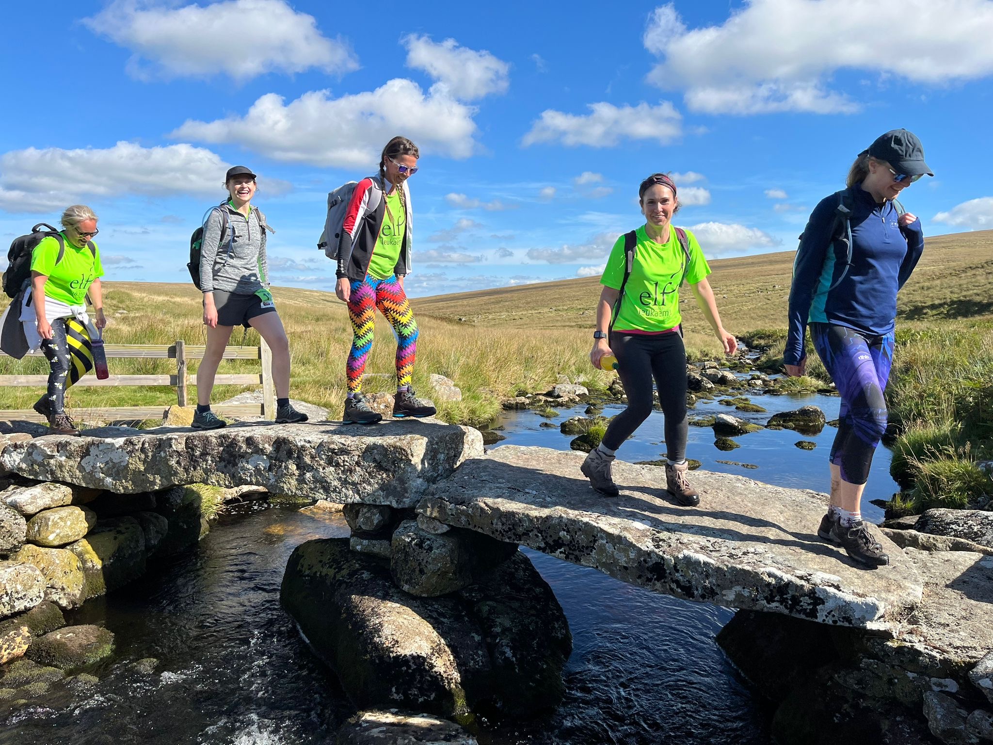 Dartmoor Trek
